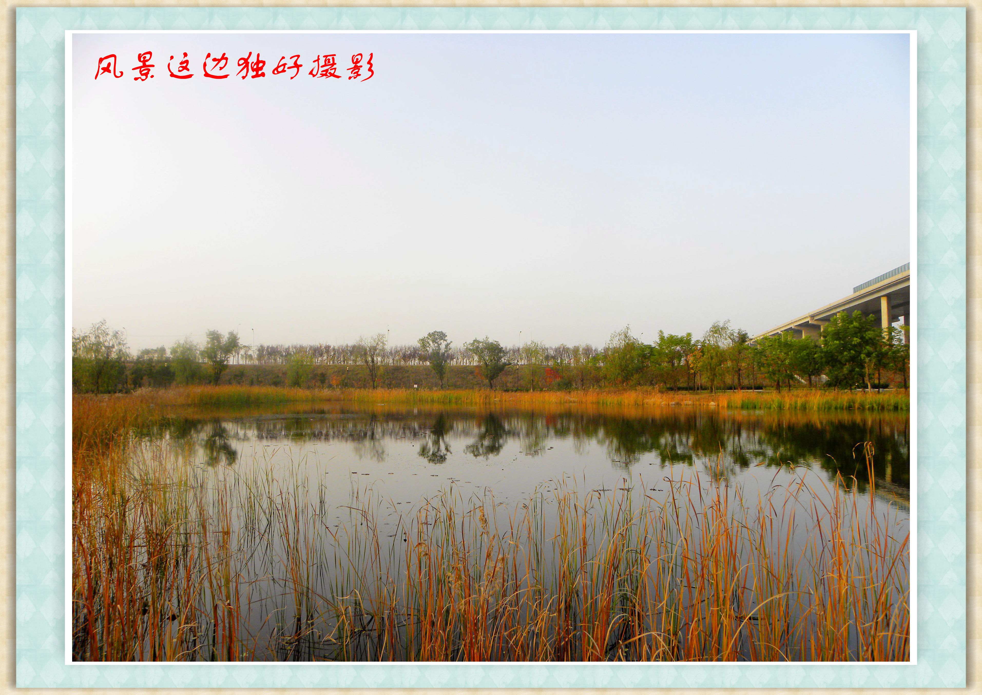 DSCN0053.JPG