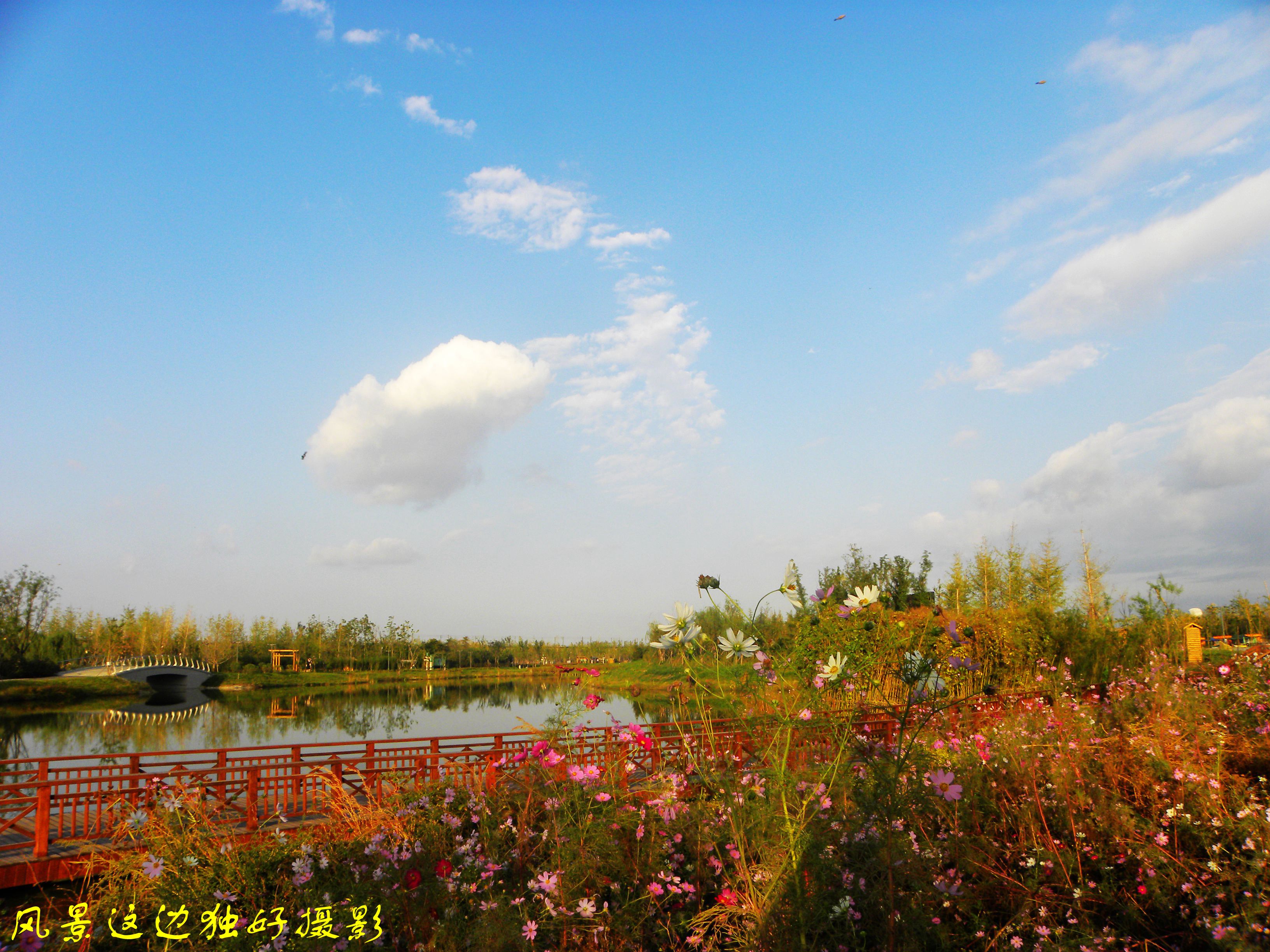 DSCN7670.JPG