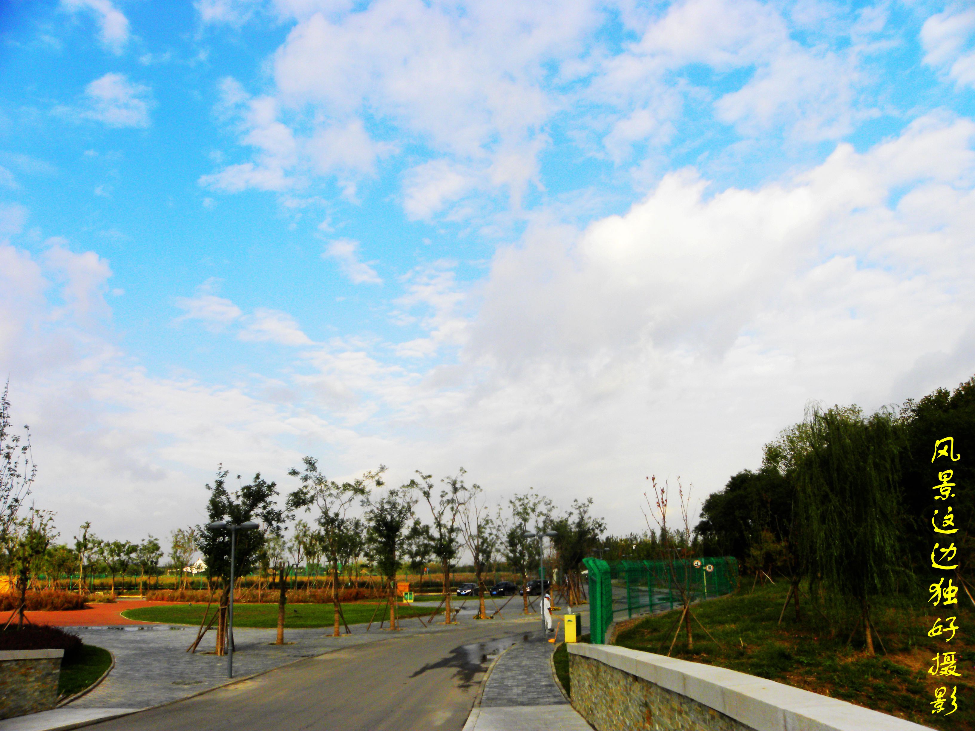 DSCN7647.JPG