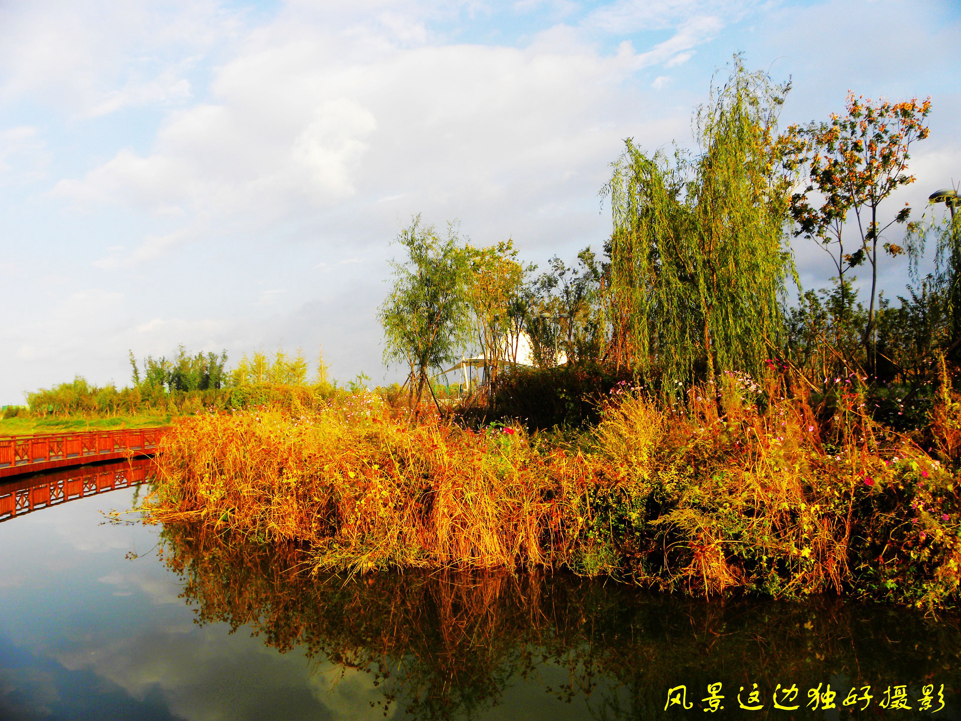 DSCN7663.JPG