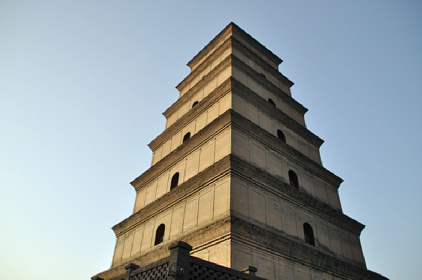 DSC_0267_conew1.jpg