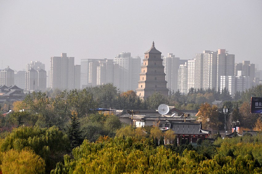 DSC_0035_conew1.jpg