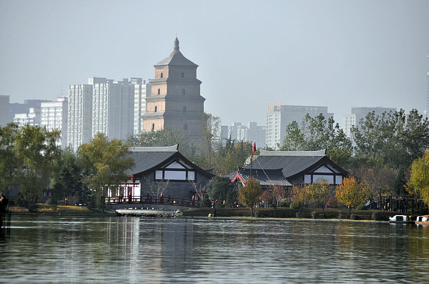 DSC_0136_conew1.jpg