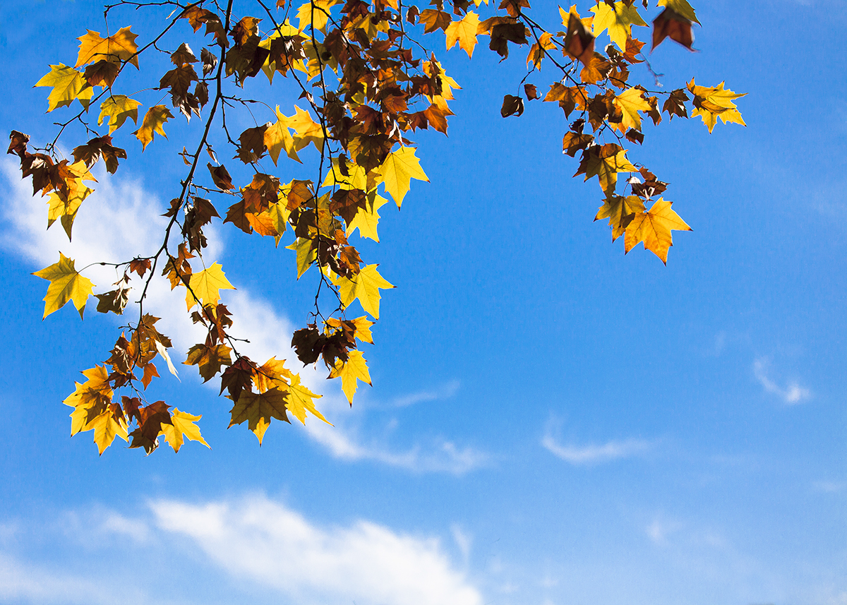 20131127_09301.jpg