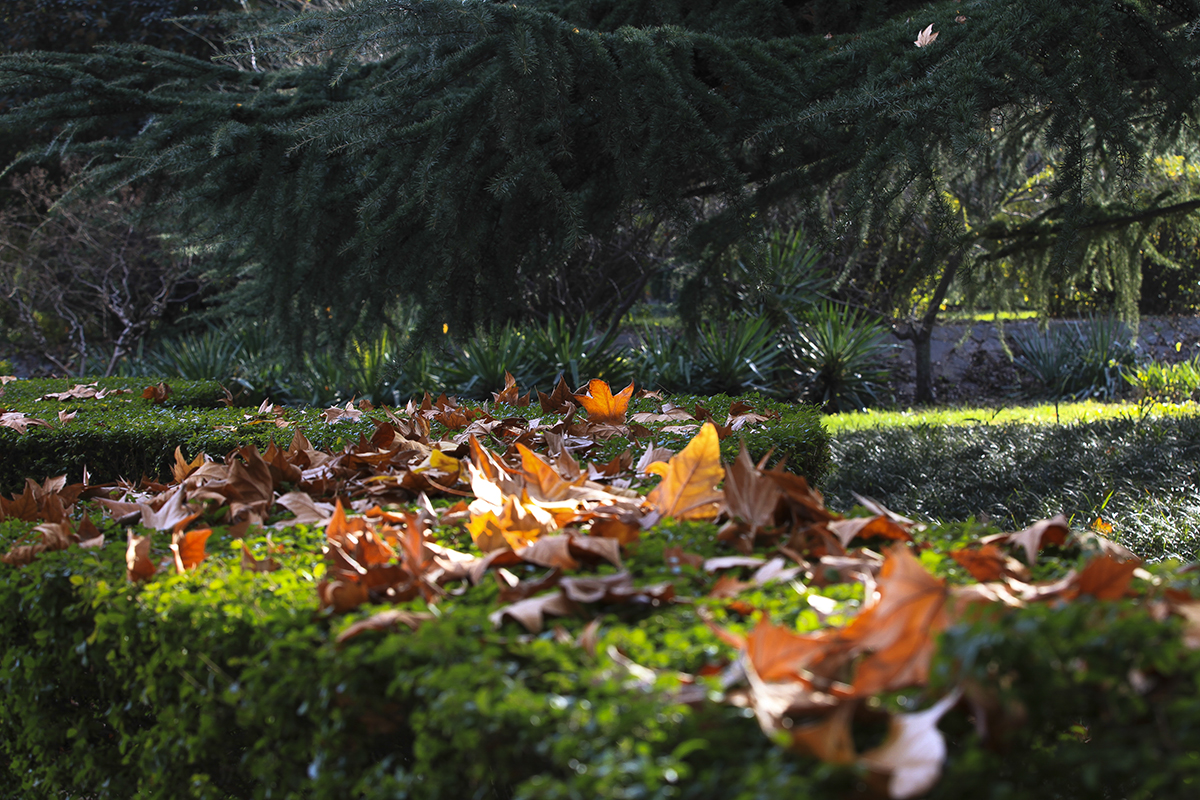 20131127_0942.jpg