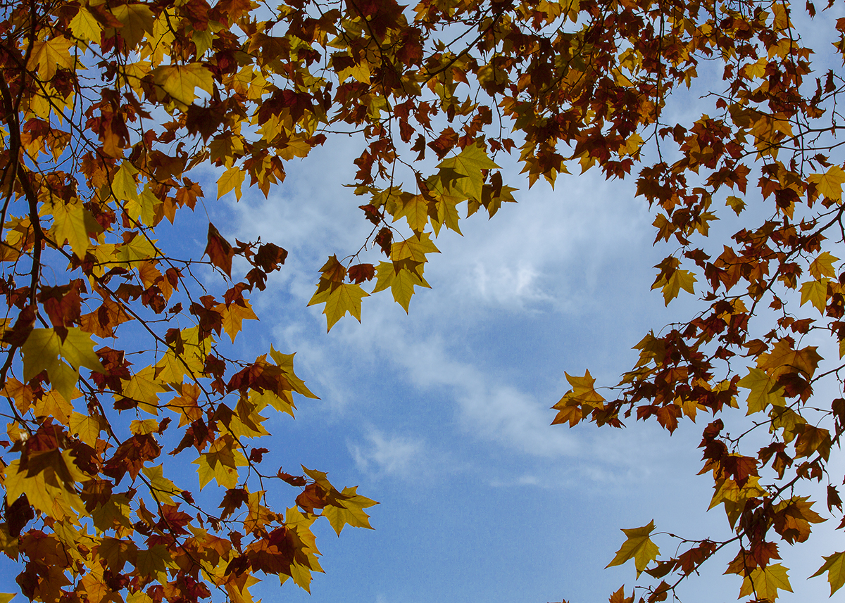 20131127_0927.jpg