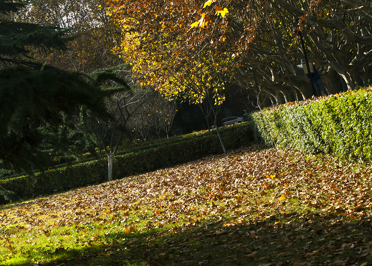 20131127_0934.jpg