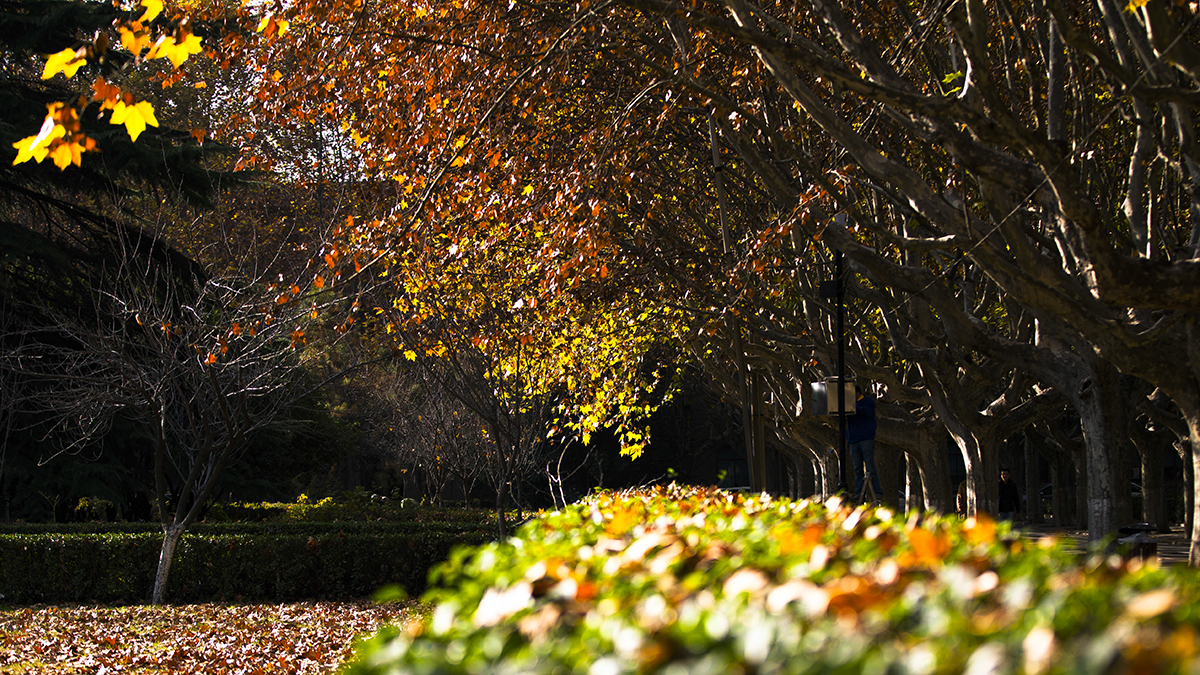20131127_0939.jpg