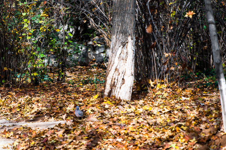 _DSC3671.jpg