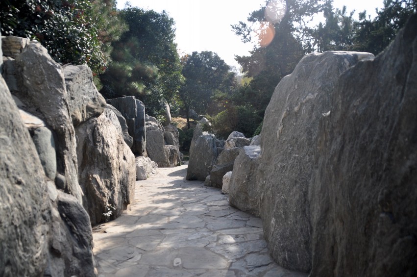 DSC_0020_conew1.jpg
