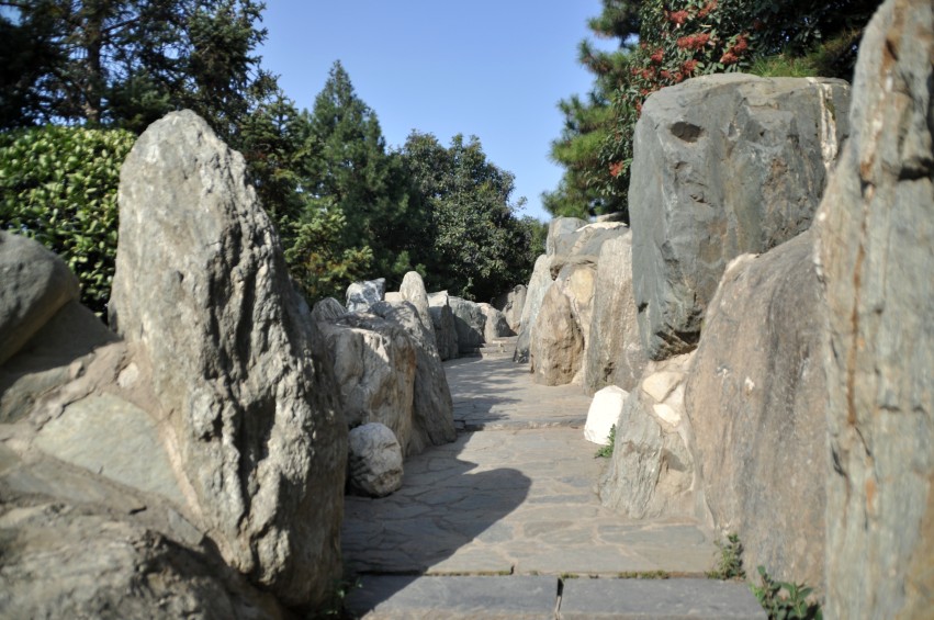 DSC_0021_conew1.jpg