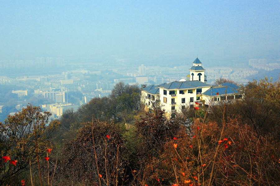 19.JPG