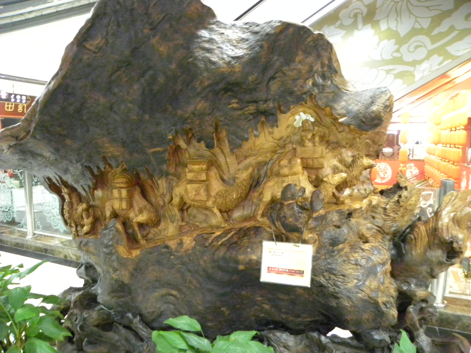 DSCN6168.JPG