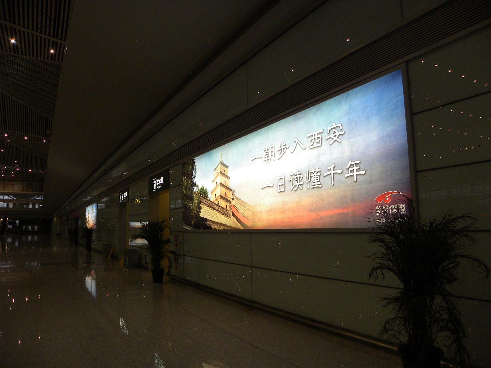 DSCN7039.JPG