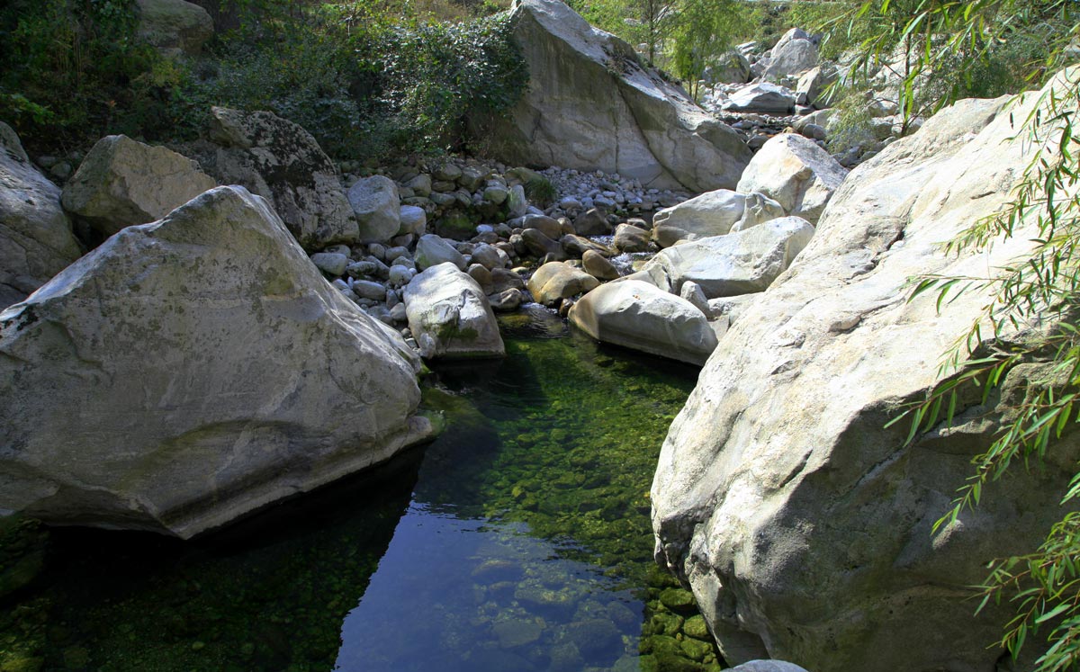 _MG_6276.jpg