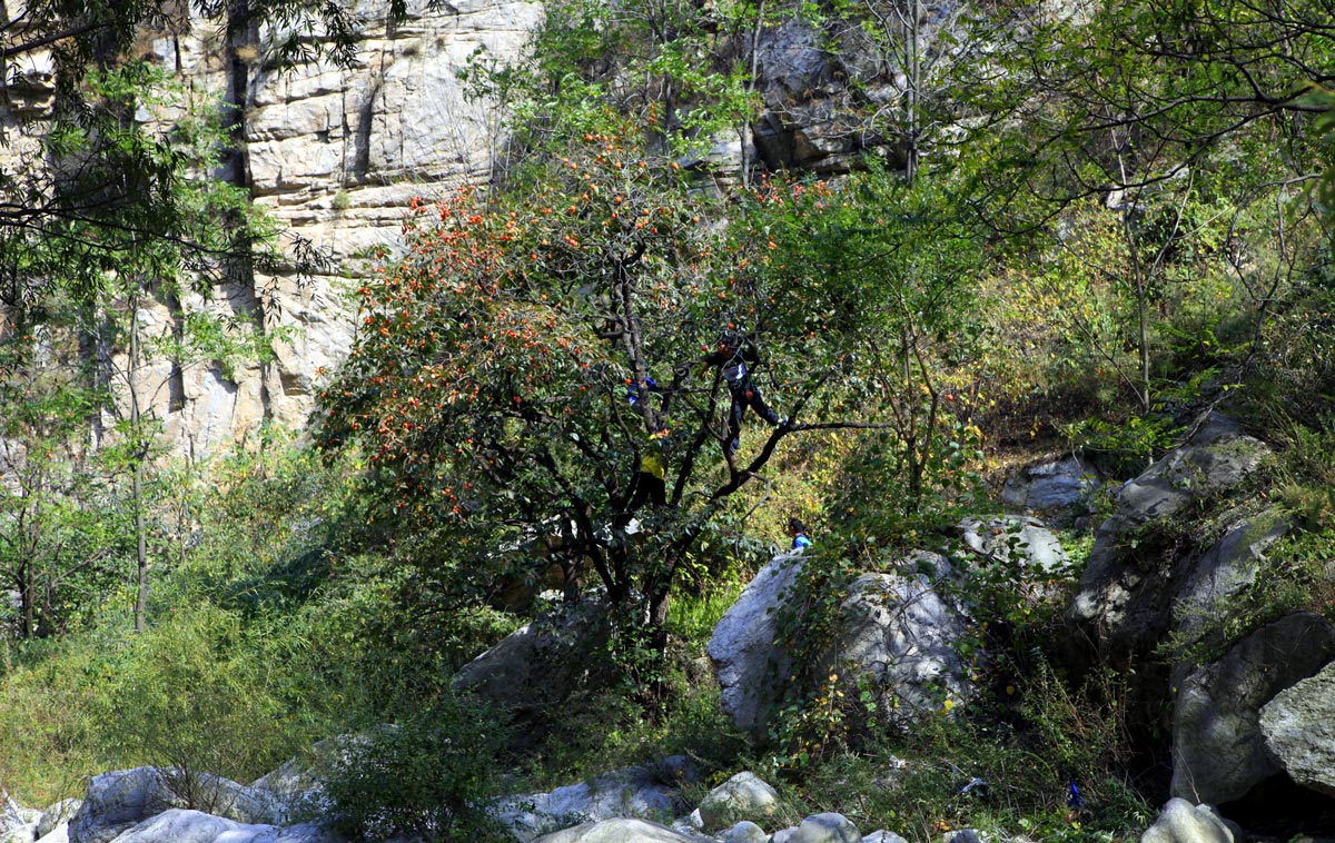 _MG_6295.jpg