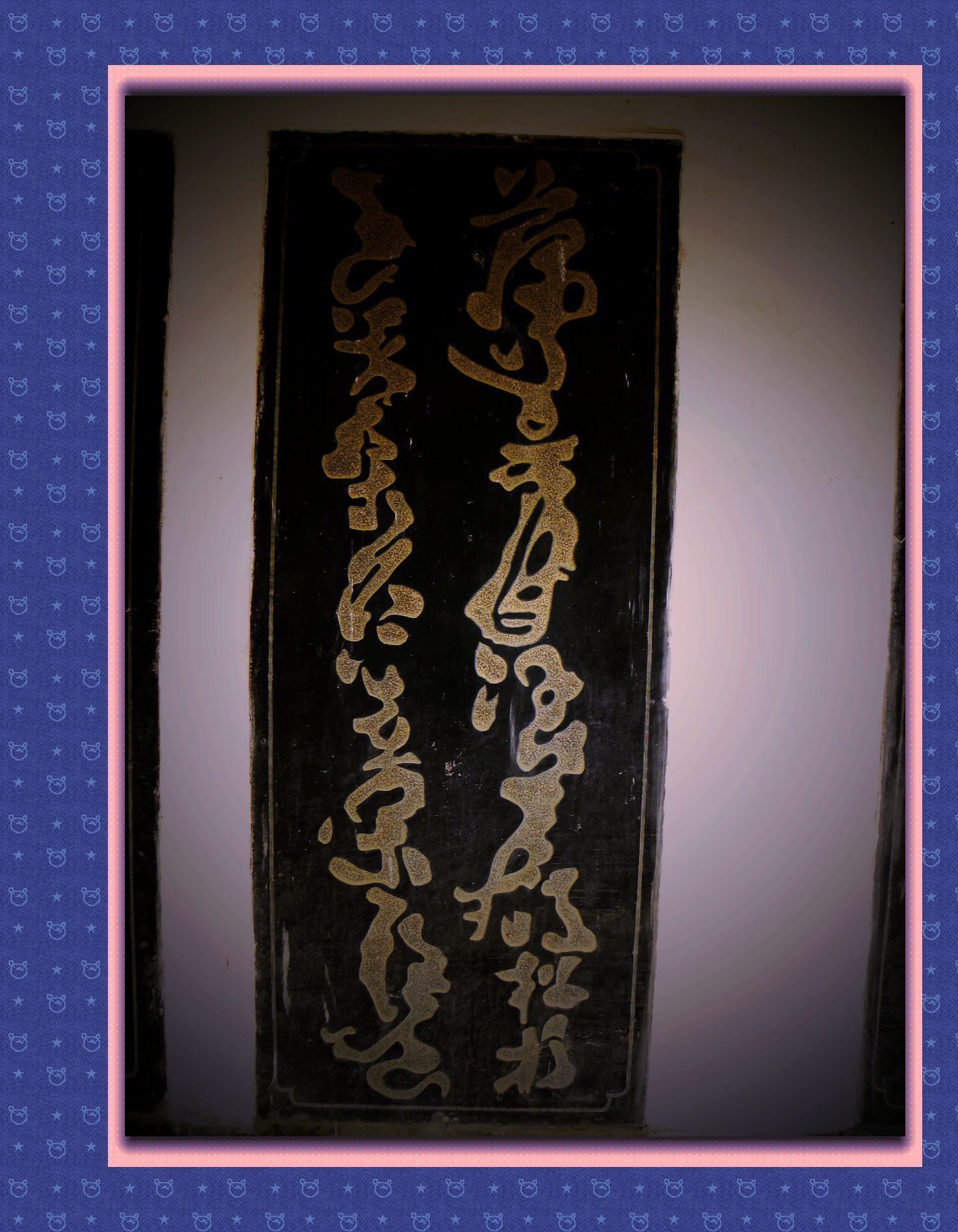 DSCN6480.JPG