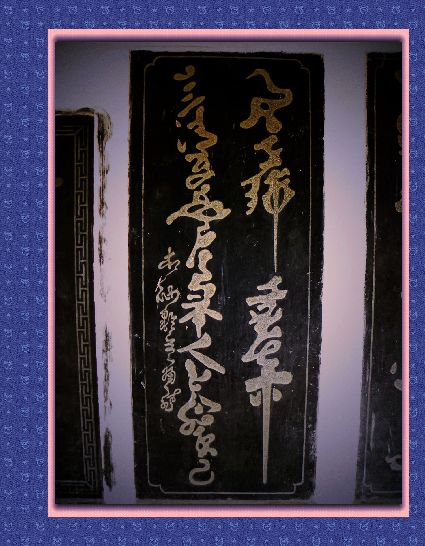 DSCN6481.JPG