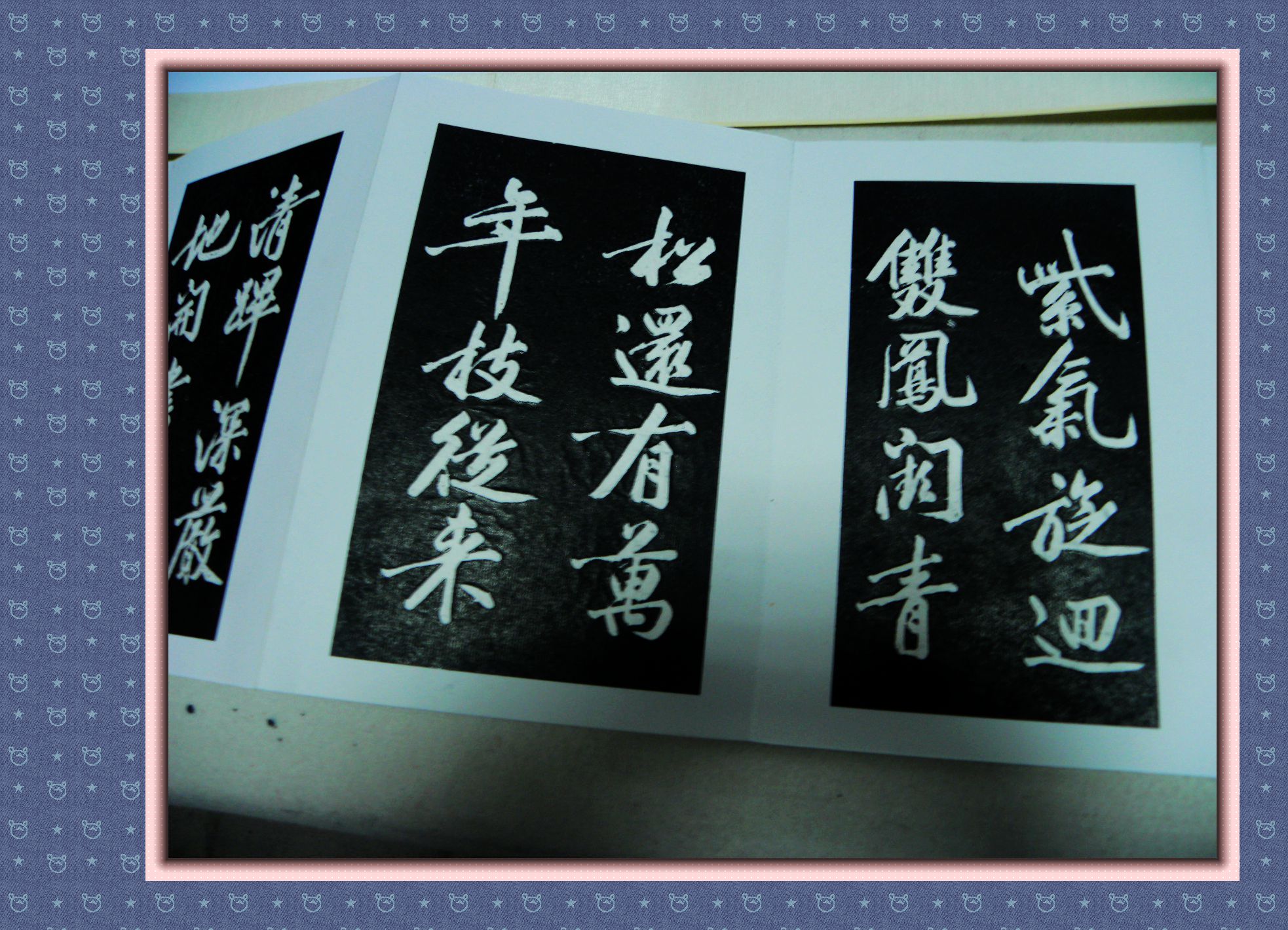 DSCN7862.JPG