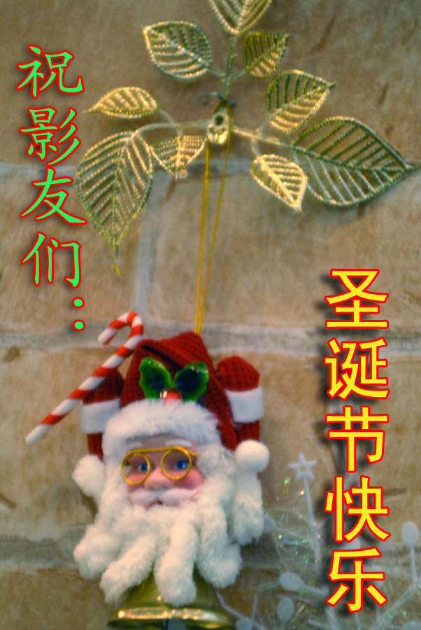 圣诞节快乐 (14).jpg