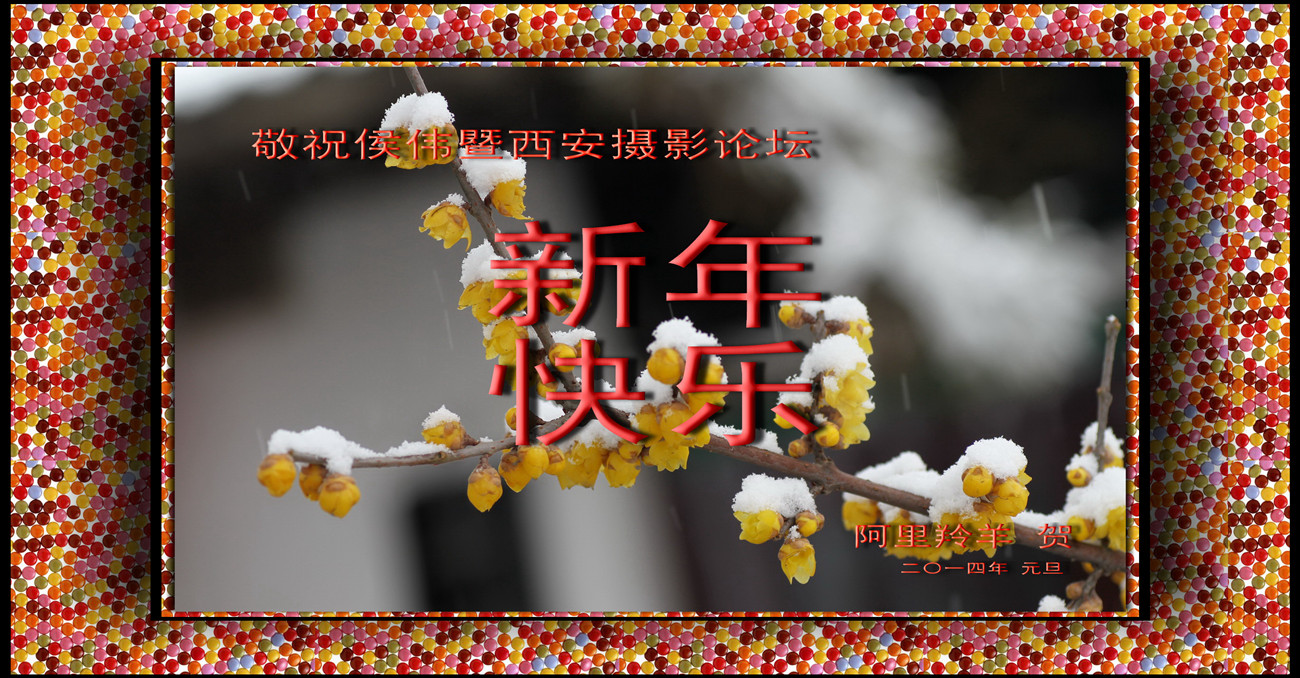 IMG_9726_副本.jpg
