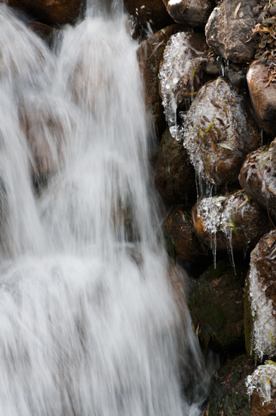 _DSC5423.jpg
