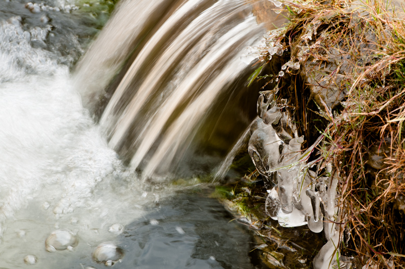 _DSC5424.jpg