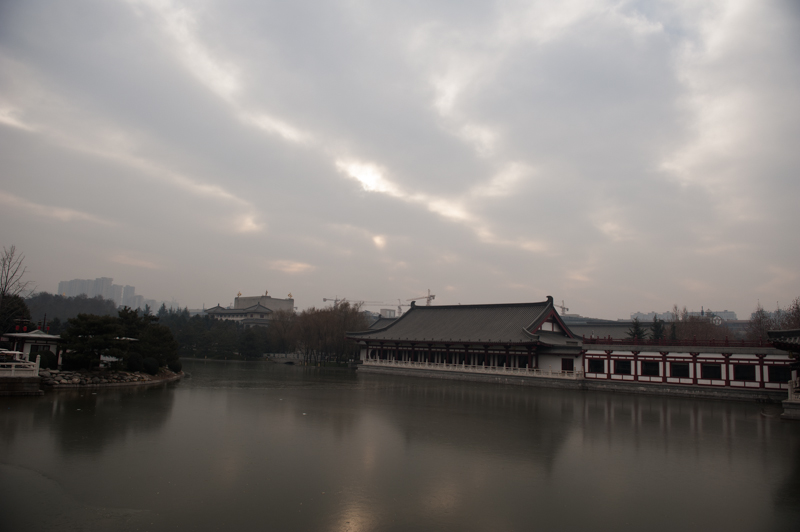 DSC_6252.jpg