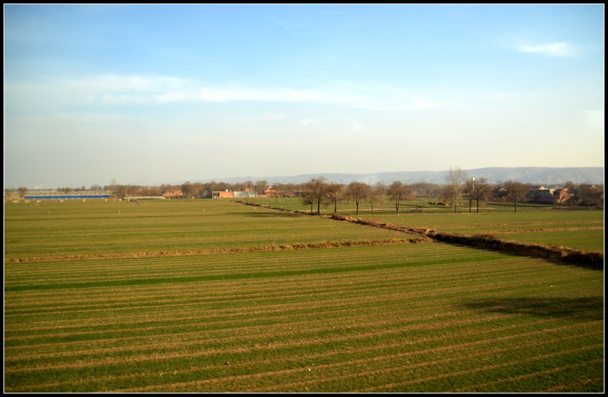 DSC_1043_conew1.jpg
