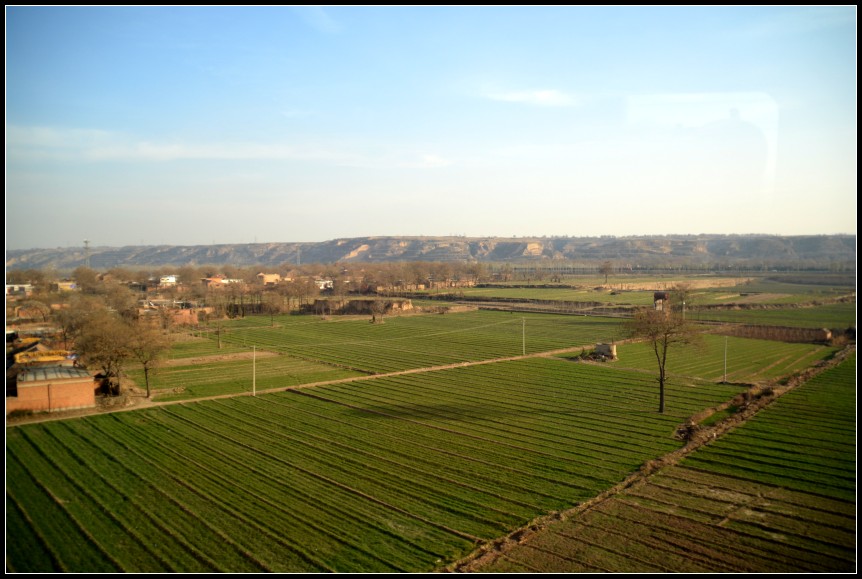 DSC_0002_conew1.jpg