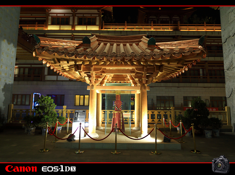 麻豆豆001259.jpg