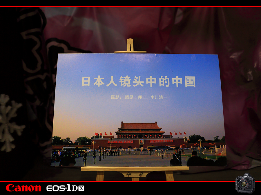 麻豆豆001263.jpg