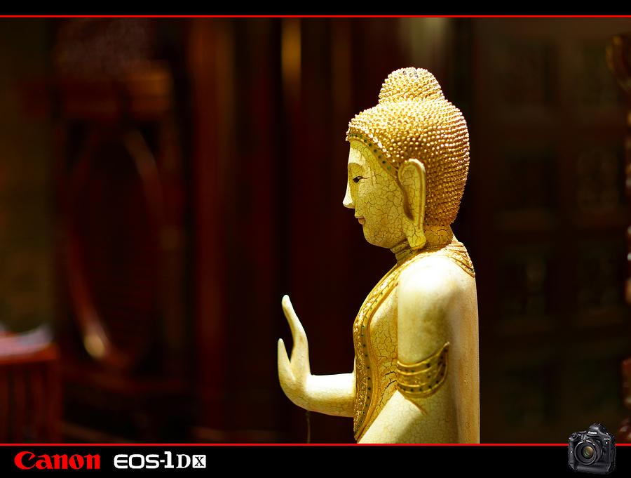 麻豆豆001277.jpg