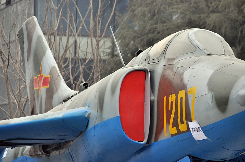DSC_0010_conew1.jpg