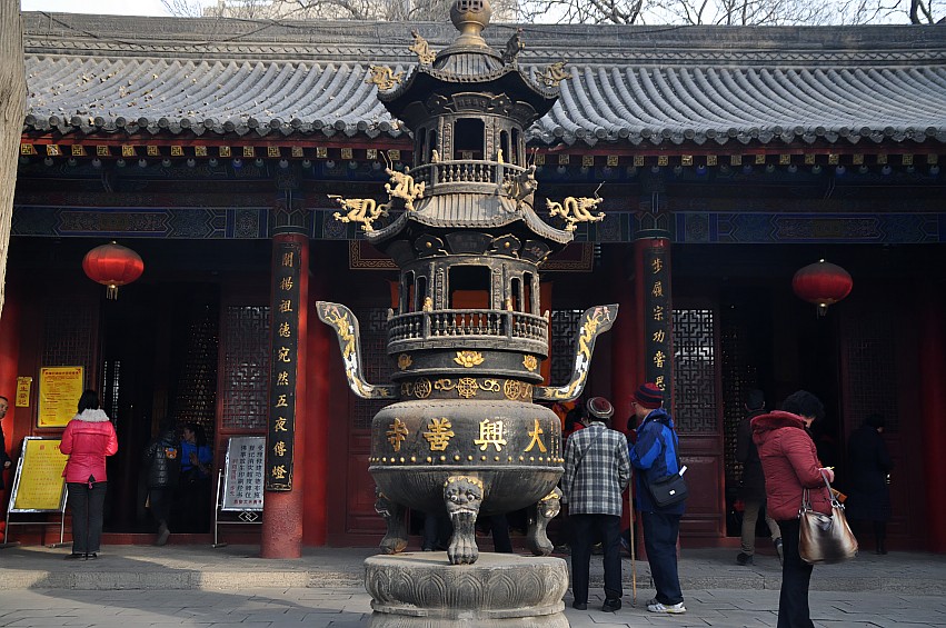 DSC_0028_conew1.jpg