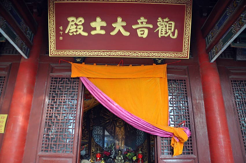 DSC_0029_conew1.jpg
