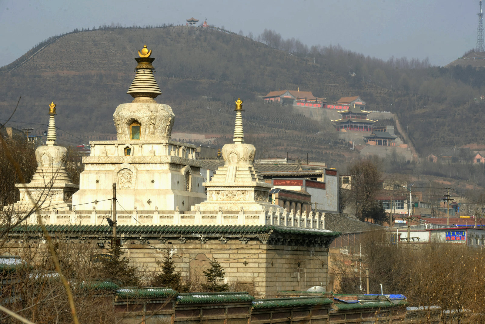 ZJF_9672_副本.jpg