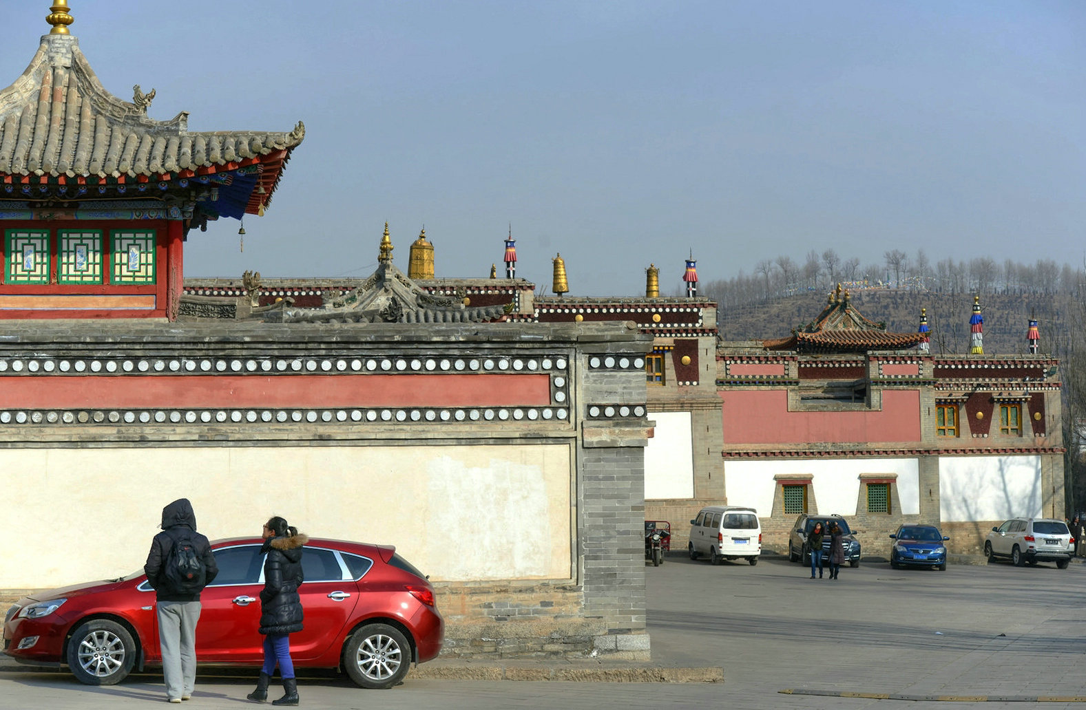 ZJF_9754_副本.jpg
