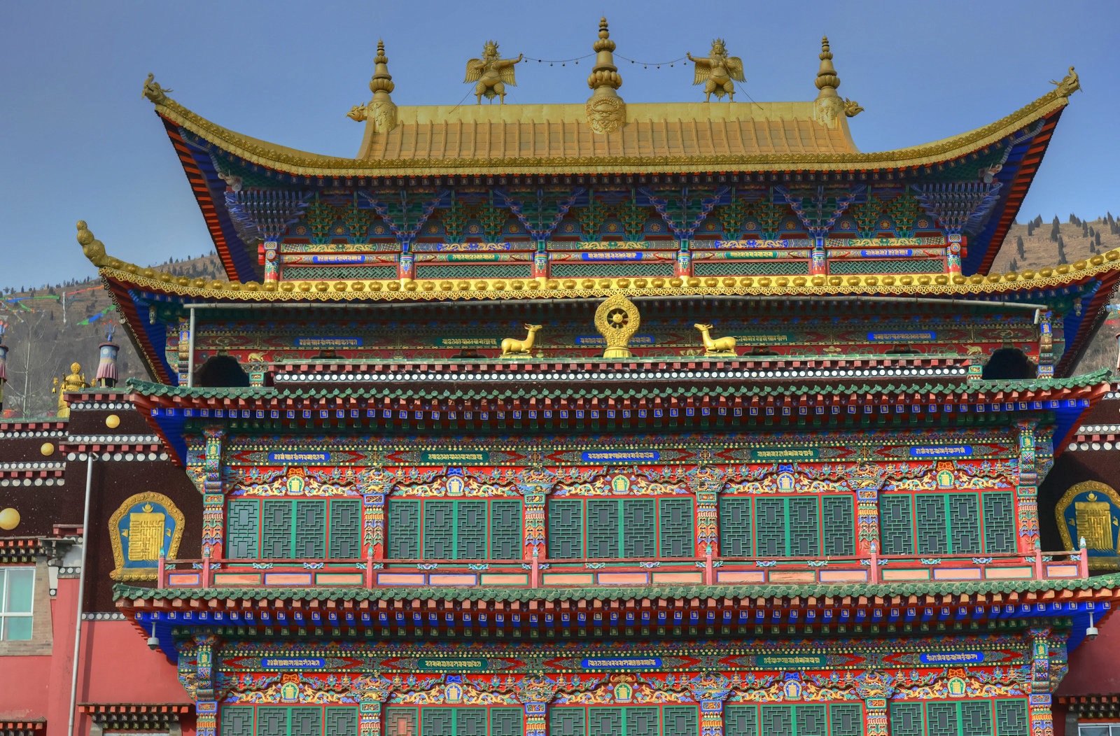 ZJF_9778_副本.jpg