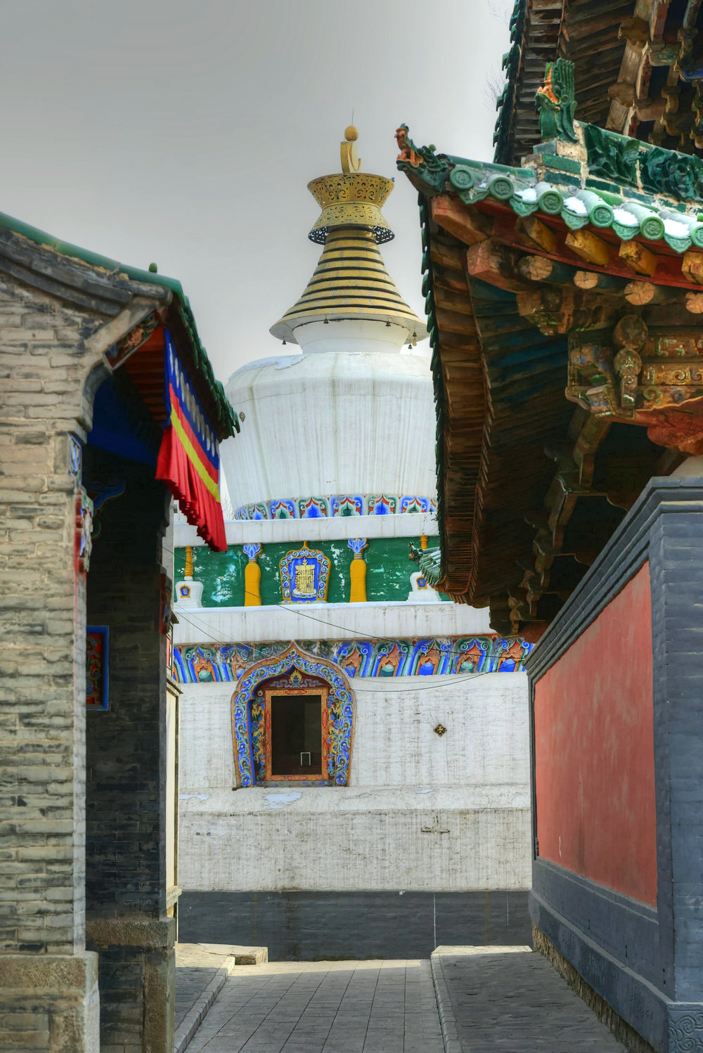 ZJF_9823_副本.jpg