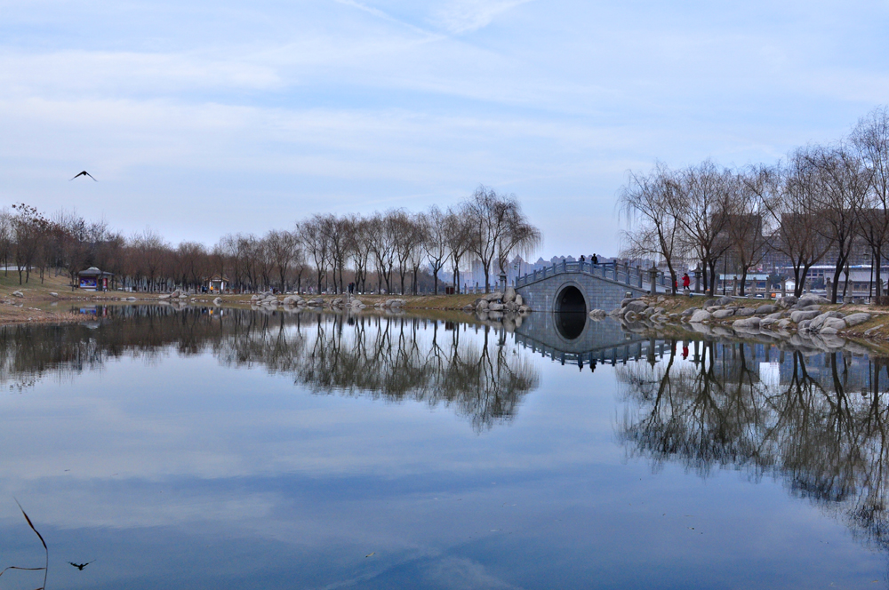 DSC_0502.JPG