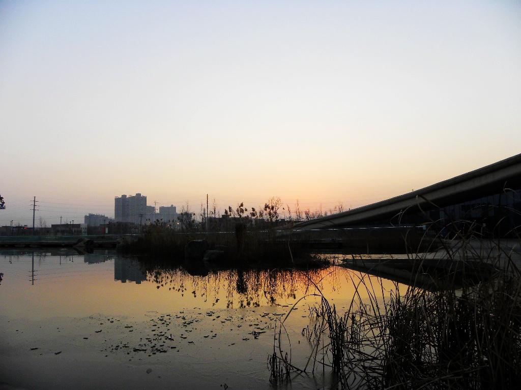 DSCN1572.JPG