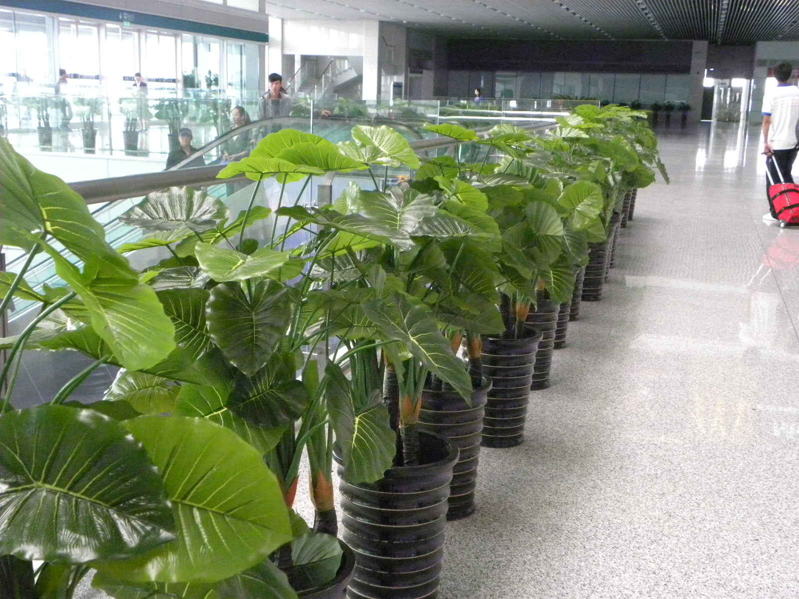 DSCN9548.JPG