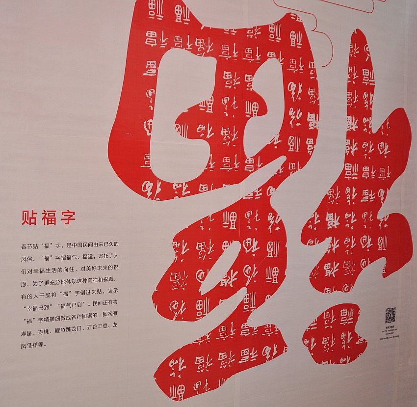 DSC_0106_conew1.jpg