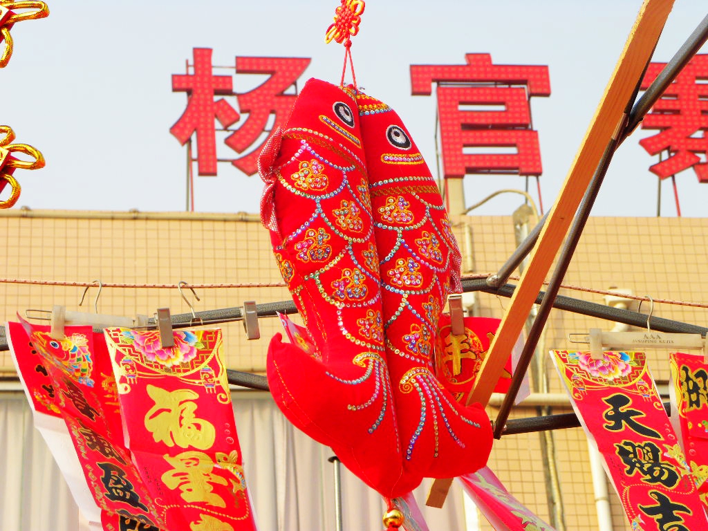 DSCN1798.JPG