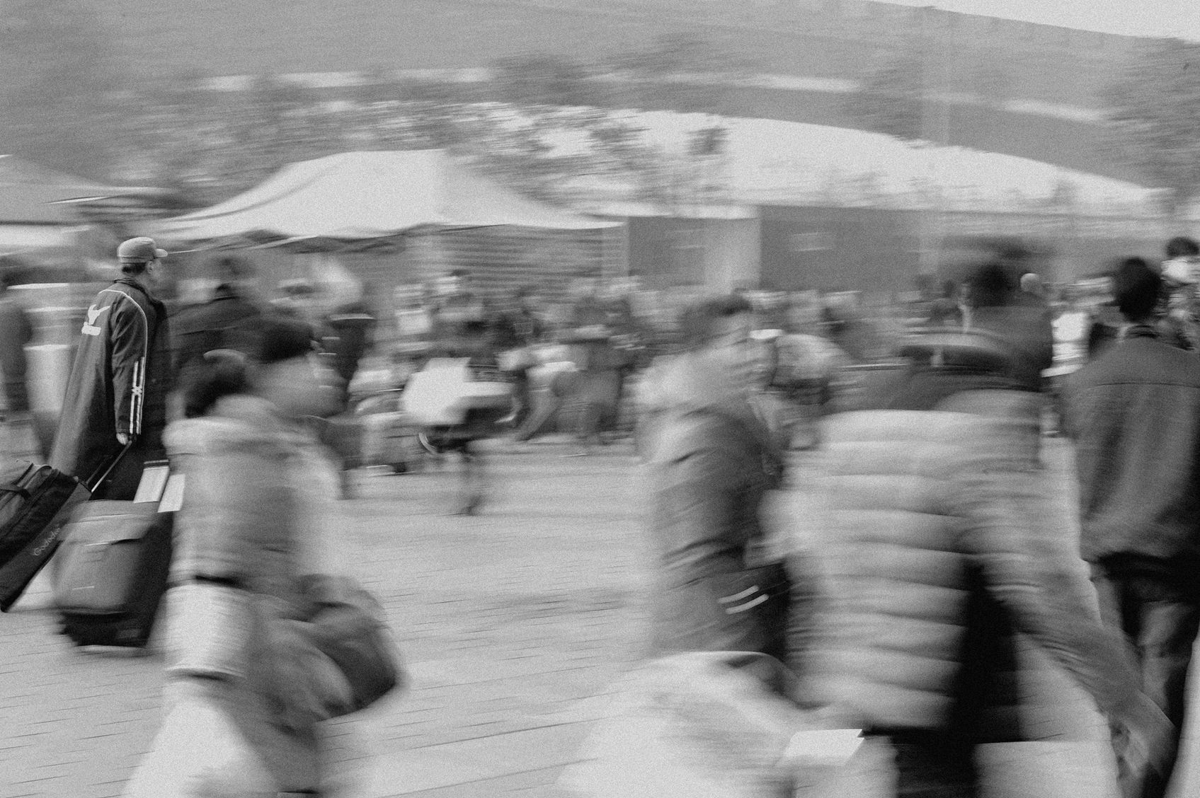 006.jpg