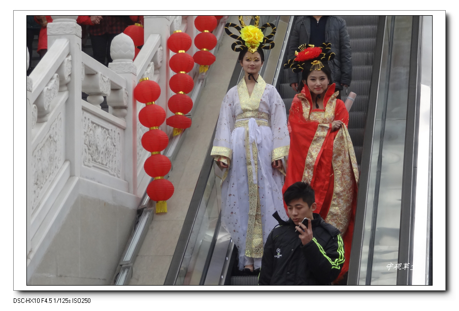 DSC07058.jpg