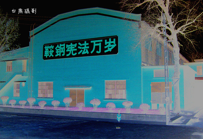 RIMG0053_副本.jpg