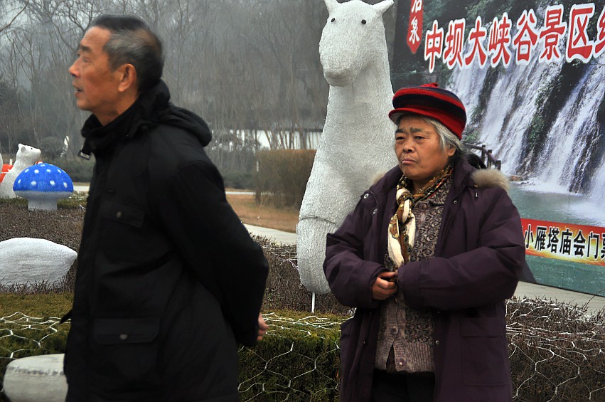 DSC_0051_conew1.jpg
