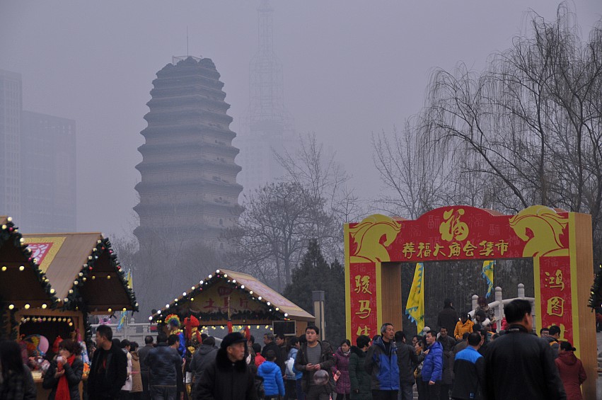 DSC_0044_conew1.jpg